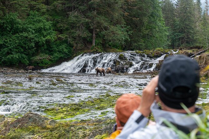 Waterfall Creek Brown Bear Viewing Review - Preparing for the Adventure