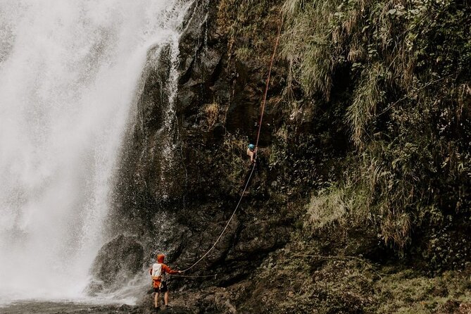 Waterfall Rappelling at Kulaniapia Falls: 120 Foot Drop, 15 Minutes From Hilo - Safety and Health Considerations