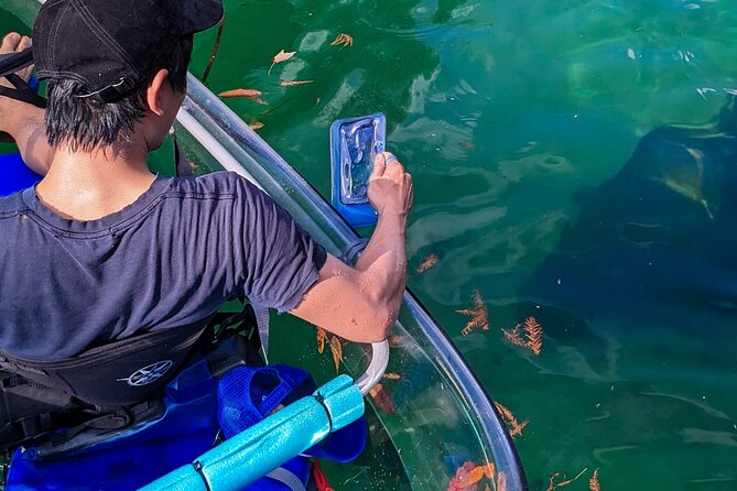 Weeki Wachee Clear Kayak Ecotours Manatee Season - November 14th-March 31st - Meeting Point and Accessibility