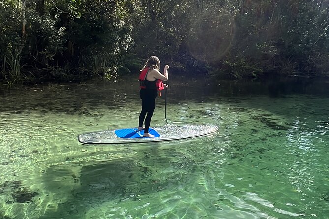Weeki Wachee Clear Paddle Board Ecotours - Recommended Gear