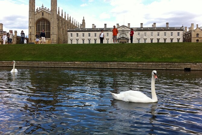 Welcome to Cambridge: Private Tour Including Kings College Chapel - The Kings College Chapel