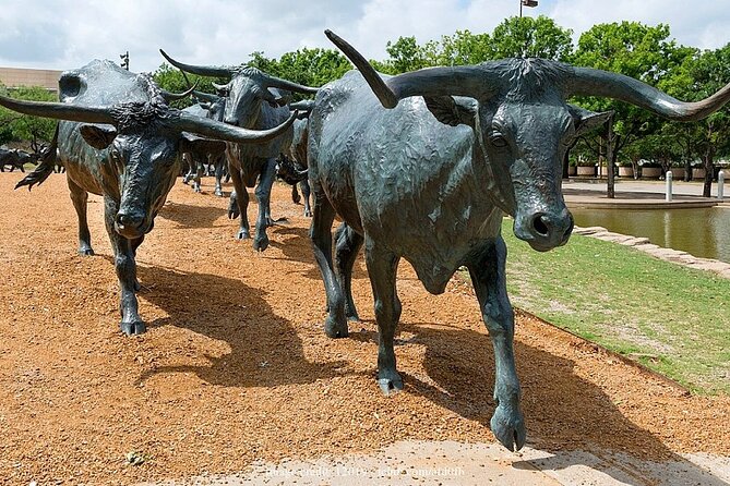 Welcome to Dallas: Private Half-Day Walking Tour - Dining and Shopping Highlights