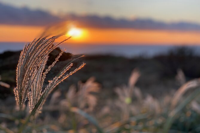West Izu Sunset Private Tour - Participant Information
