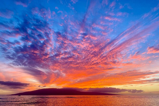 West Maui Sunset Whale Watch - Tour Experience