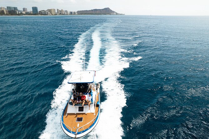 Whale and Dolphin Watch Boat Cruise in Oahu - Customer Reviews and Testimonials