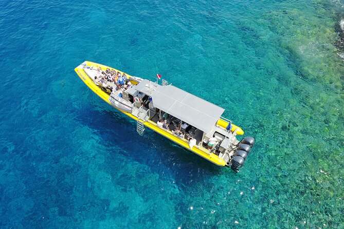 Whale Watch Adventure Aboard Mauis Only Luxury Super Raft - Onboard Hydrophones and Naturalist Insights