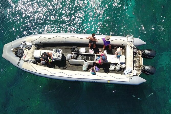 Whale Watching Expedition on Kauai - Health and Safety Guidelines