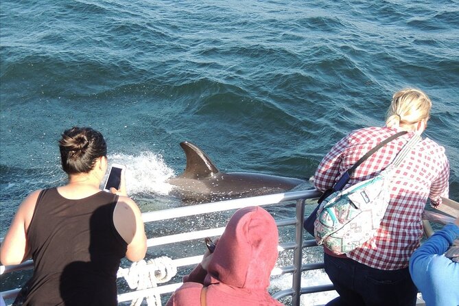 Whale Watching Tour From Anacortes - Pricing and Policies