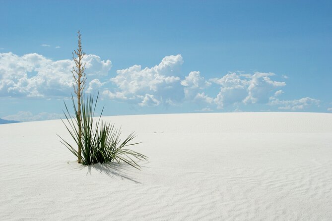 White Sands National Park Audio Tour Guide Review - Engaging Narration and Captivating Stories