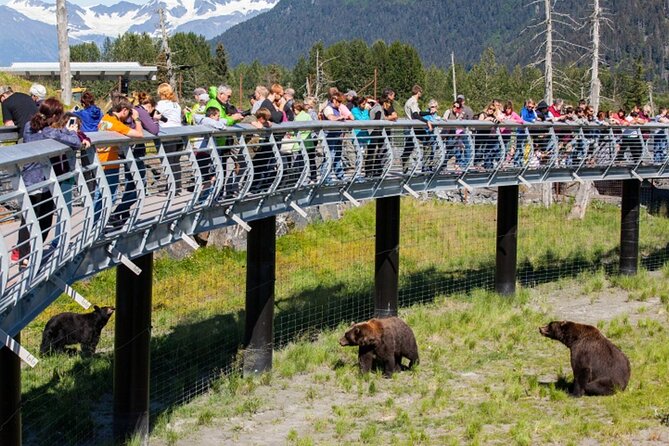 Wildlife Conservation Center and Portage Glacier Lake Viewing - Tour Experience