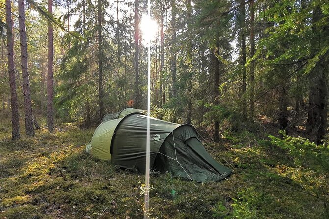 Wildlife Hiking in Stockholm With Animal Spotting - 2 Days - Meeting and Departure Details