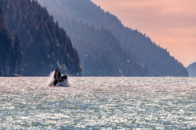 Wildlife Walking Half-Day Tour Review - Additional Information