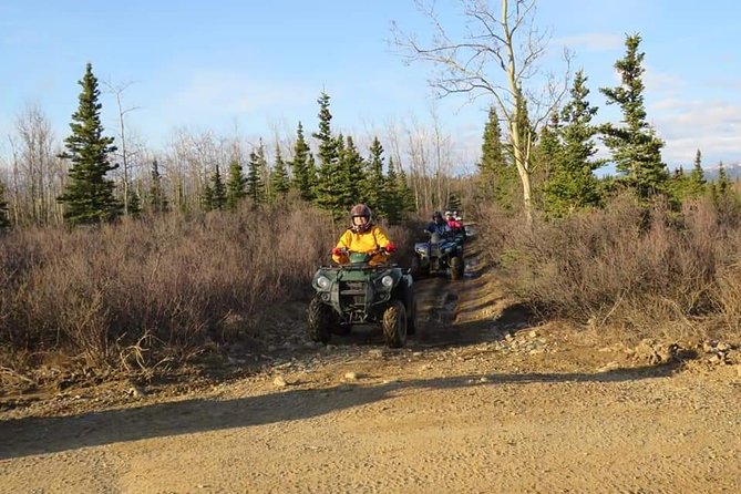 Wilds of Alaska Classic ATV Adventure - Scenic Viewpoints