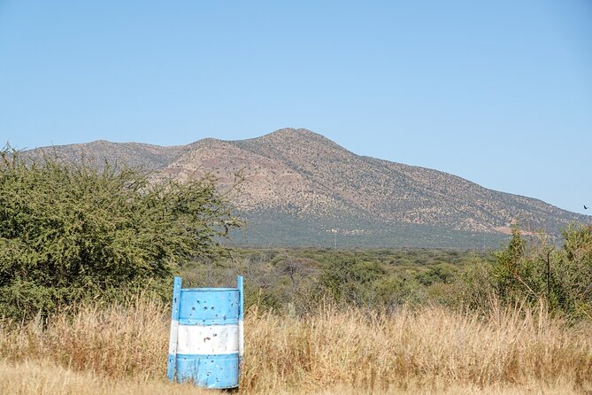 Windhoek Wilderness Safari: A Game Drive Experience - Customer Reviews and Feedback
