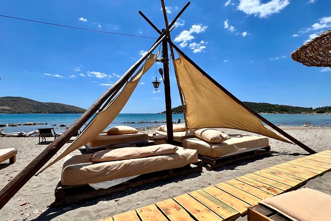Wine Tasting and Beach Day With a Sommelier on Athenian Riviera - Sommelier Expertise