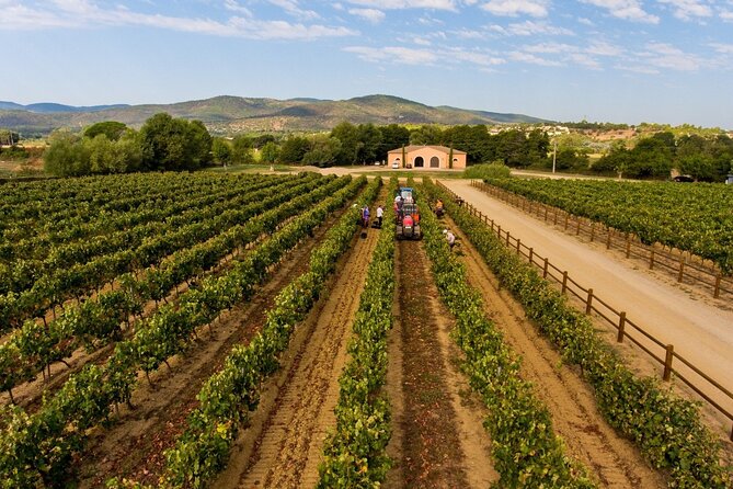 Wine Tasting & Art Tour From Nice - Pickup and Transportation Details