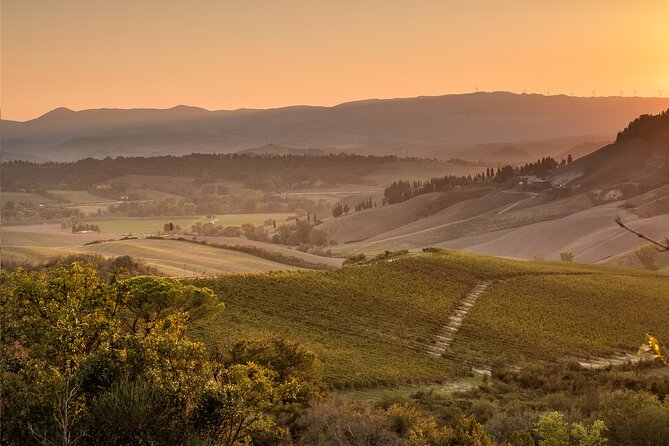 Wine Tasting in Tuscany - Accessibility Features
