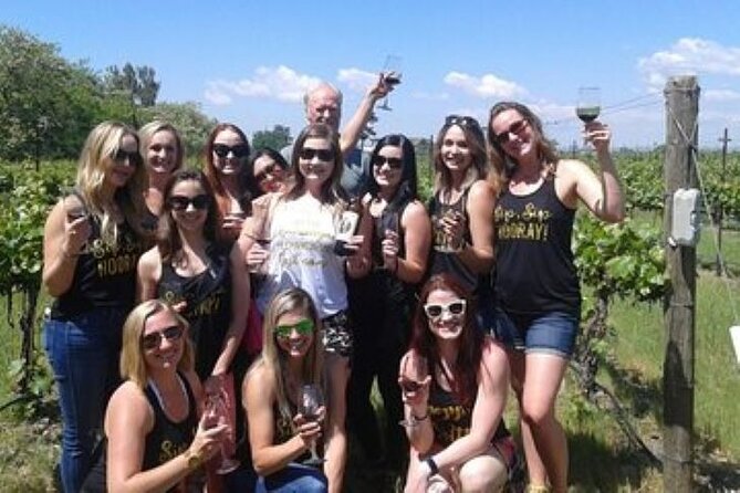 Wine Tasting, Private Transportation Review - Accessibility and Accommodations