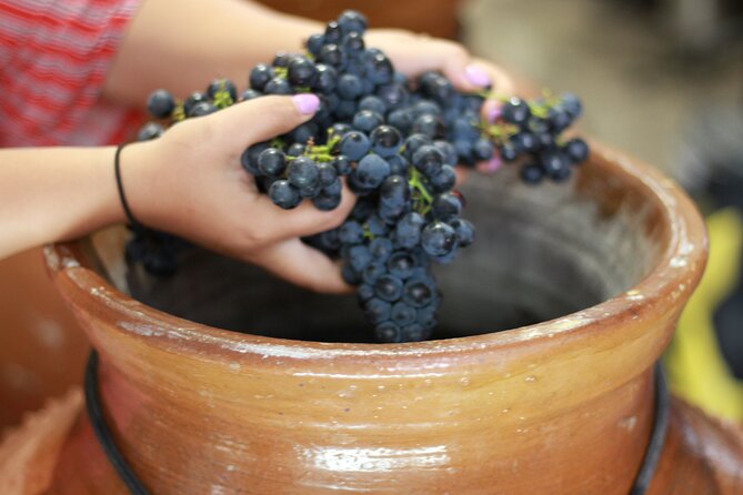 Winemaker-Owner Led Tour, Tasting & Tapas @ Adega Belém Winery - Wine Tasting Flight