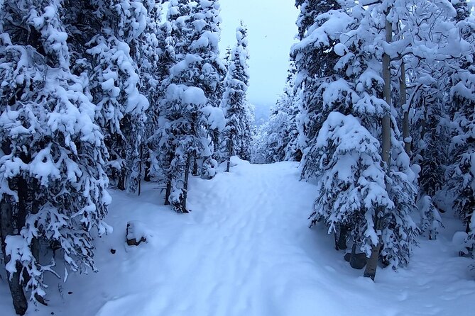 Winter Valley and Forest Hike - Preparing for the Hike