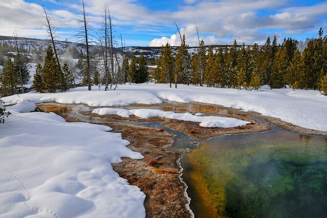 Winter Wildlife Safari Review: Experience Yellowstone's Wonders - Knowledgeable and Passionate Tour Guides