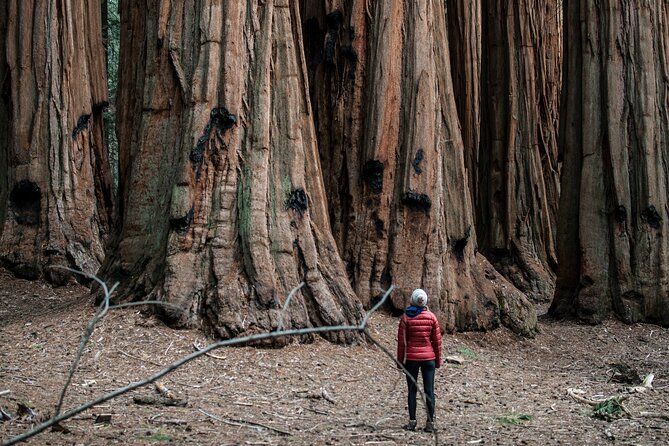 Womens Only Yosemite 3-Day Camping Adventure From San Francisco - Preparing for Your Trip