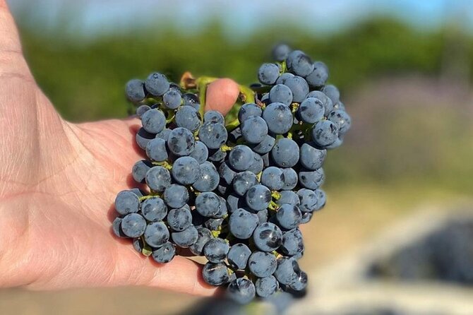 Woodinville Warehouse Wine Pass - Booking Your Wine Pass