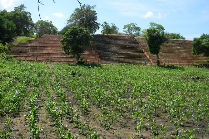 Xihucan Archaeological Tour - Inclusions of the Tour