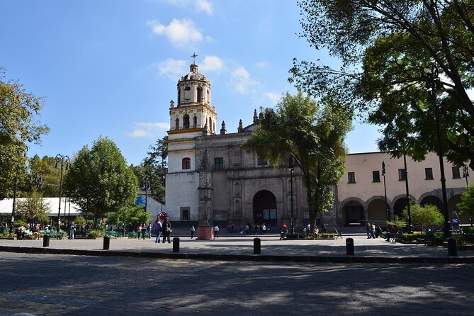 Xochimilco, Coyoacan and Frida Kahlo Museum Tour - Customer Experiences and Feedback