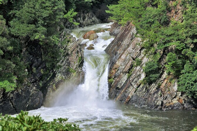 Yakushima Private Island Sights Tour With English Speaking Guide - Savor the Delicious Bento Box Lunch