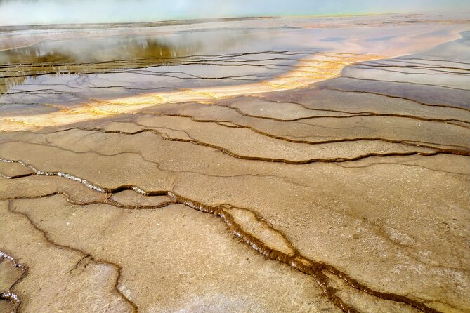 Yellowstone National Park 2 Day Tour Review - Yellowstone National Park Pass