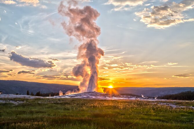 Yellowstone: Private Guided Tour - Local Guide Expertise
