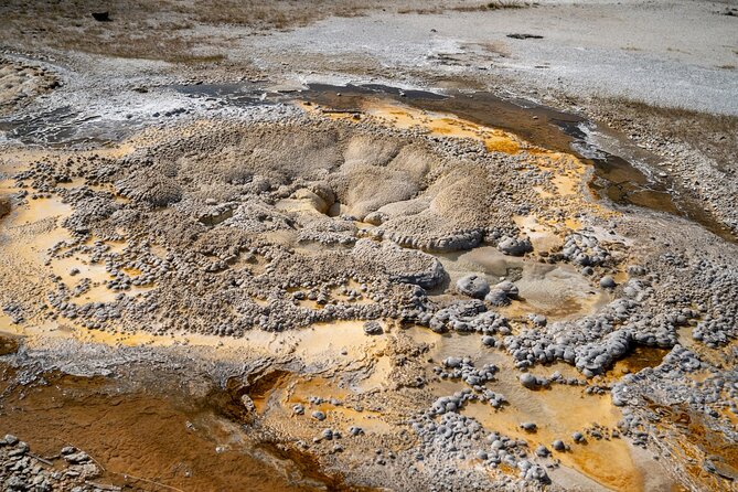 Yellowstones Old Faithful Self-Guided Walking Tour - Flexible Pace and Logistics