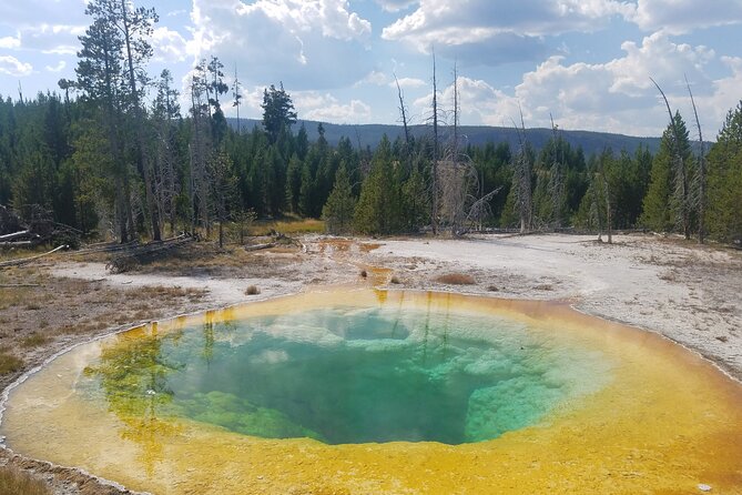 Yellowstones Upper Geyser Basin: A Self-Guided Audio Tour - Things To Known
