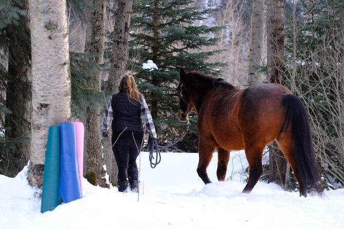 Yoga With Horses - Preparing for the Session