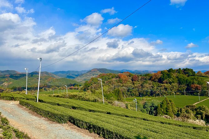 YokaBus Heritage in a Cup of a Yame Tea & Sake Tasting Expedition - Meeting and Pickup