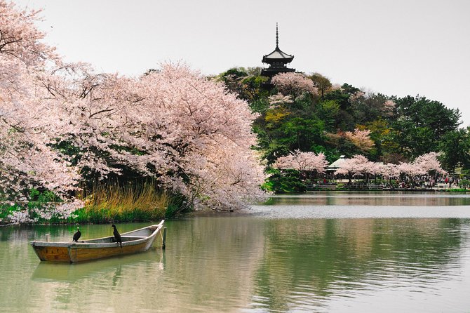 Yokohama Private Customizable Half Day Tour - Exploring Yokohamas Top Attractions
