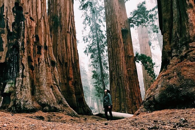 Yosemite 3-Day Lodging Adventure From San Francisco - Important Information