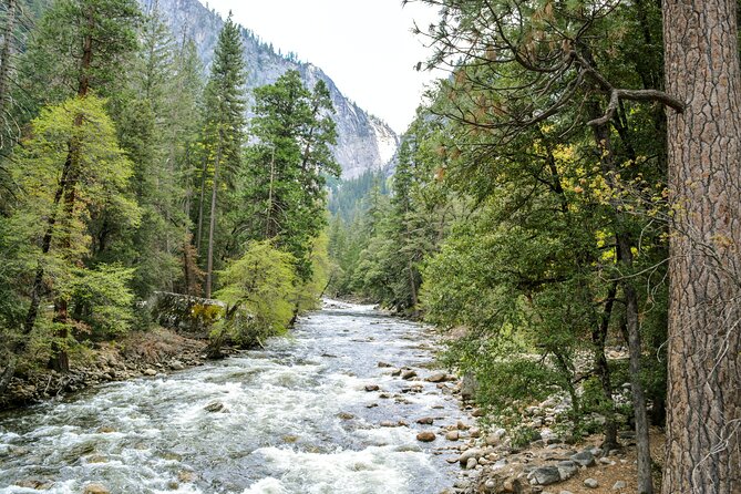 Yosemite Adventure: Full-Day Private Tour From San Francisco - Marveling at the Grandeur of El Capitan