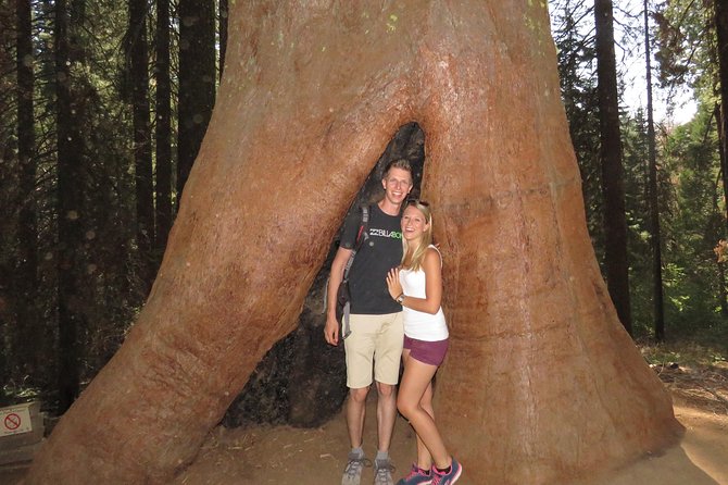 Yosemite National Park Tour Package Review - Accommodation and Entrance Fees