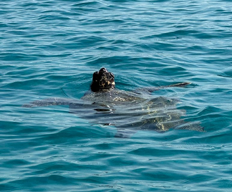 Zakynthos: Turtle Island, Cameo and Keri Caves + Transport - Suggested Items to Bring