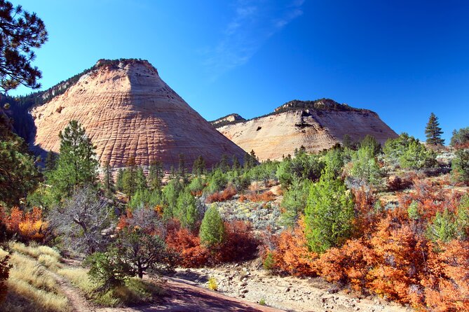 Zion and Bryce Canyon National Parks Self-Driving Bundle Tour - Pricing and Accessibility