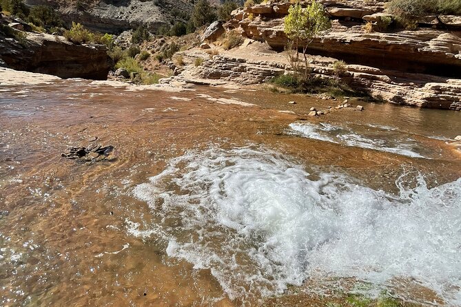 Zion Hummer Tour to Zion Waterfall With Swimming - Health and Accessibility Considerations