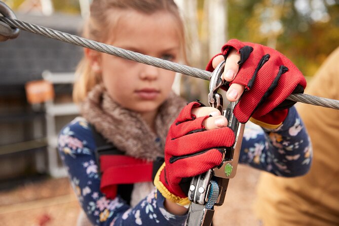 Zipline and Climb in a Forest Review - Cancellation and Booking Policies