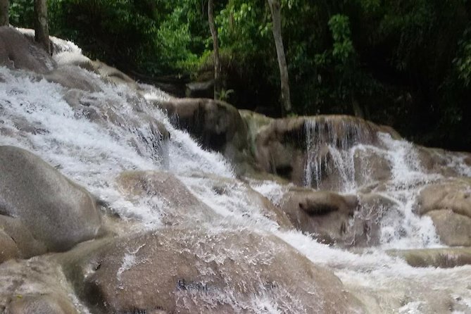 Zipline, Bobsled - Dunns River - Bob Marley From Ocho Rios - Booking and Availability