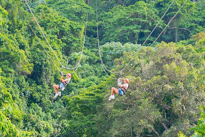 Ziplines Jungle Day Combo Tour - Transportation Details