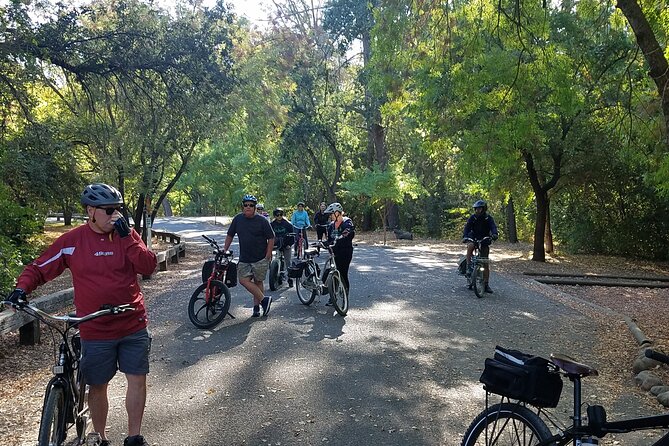 4 Hour Bicycle Rental Review - Good To Know
