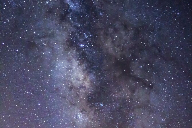 4-Hour Circus Under the Stars - Key Points