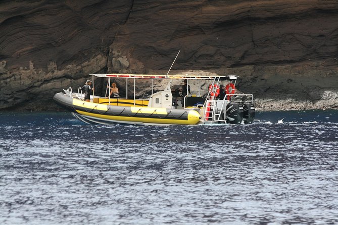 4 Hour Molokini Snorkel Tour Adventure in Maui - Good To Know