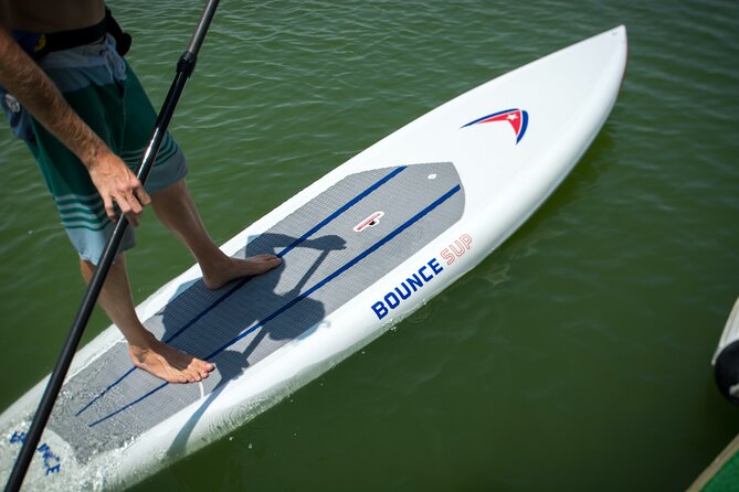4-Hour Rental Premium Motorized Fishing Kayak - Overview of the 4-Hour Rental Experience